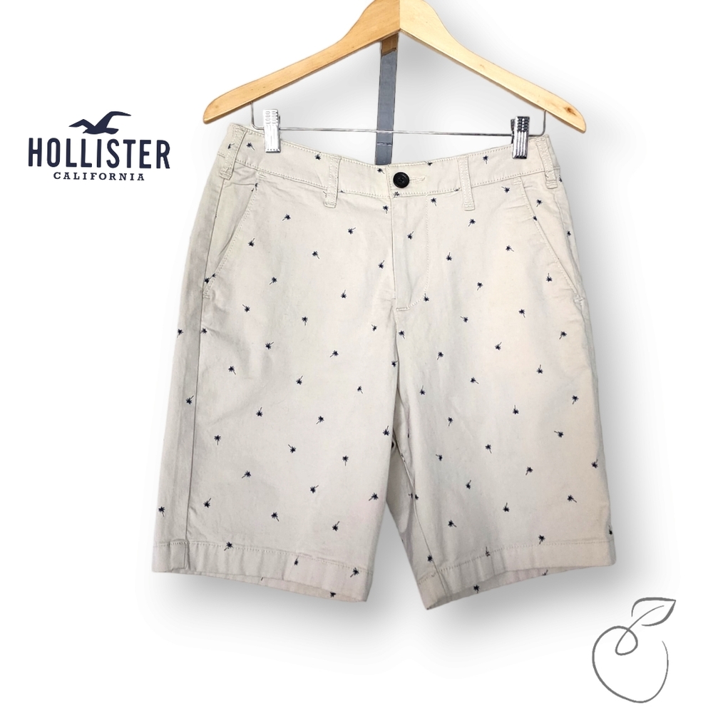 HOLLISTER MEN'S EPIC FLEX CLASSIC SHORTS SZ 28 - Picture 12 of 12